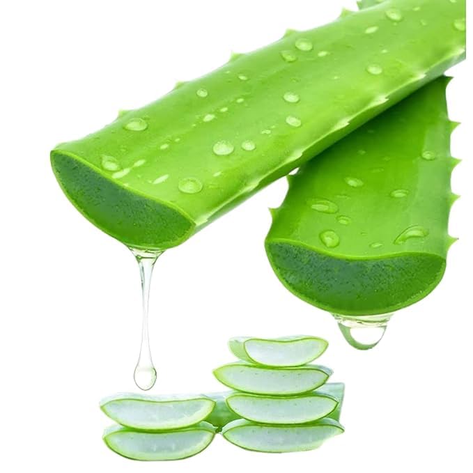 Aloe fresh